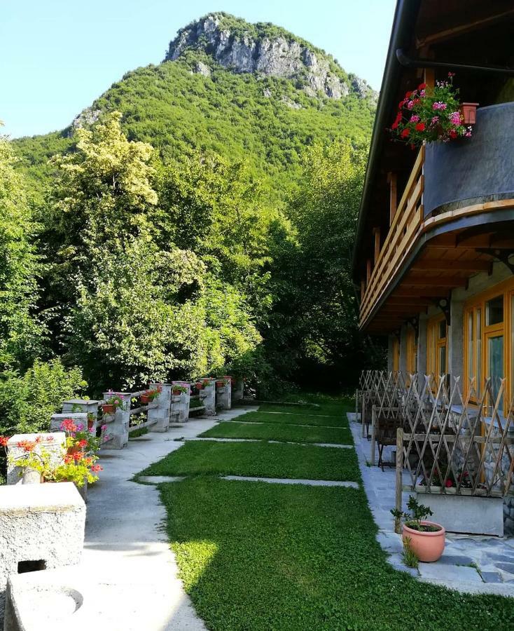 Agriturismo La Selvaggia Mandello del Lario Exterior photo